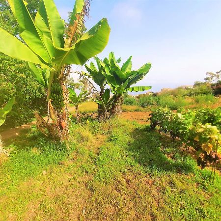 Casa En Finca Ecologica - Wifi La Orotava Dış mekan fotoğraf