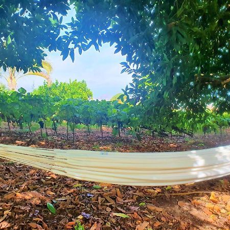 Casa En Finca Ecologica - Wifi La Orotava Dış mekan fotoğraf