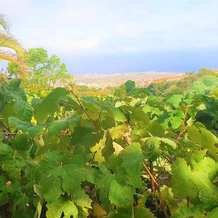 Casa En Finca Ecologica - Wifi La Orotava Dış mekan fotoğraf