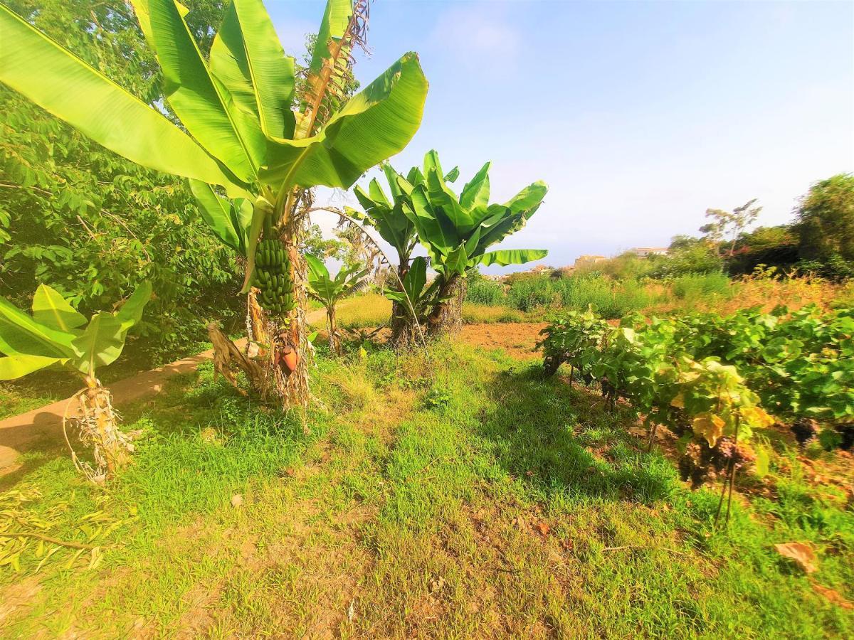 Casa En Finca Ecologica - Wifi La Orotava Dış mekan fotoğraf