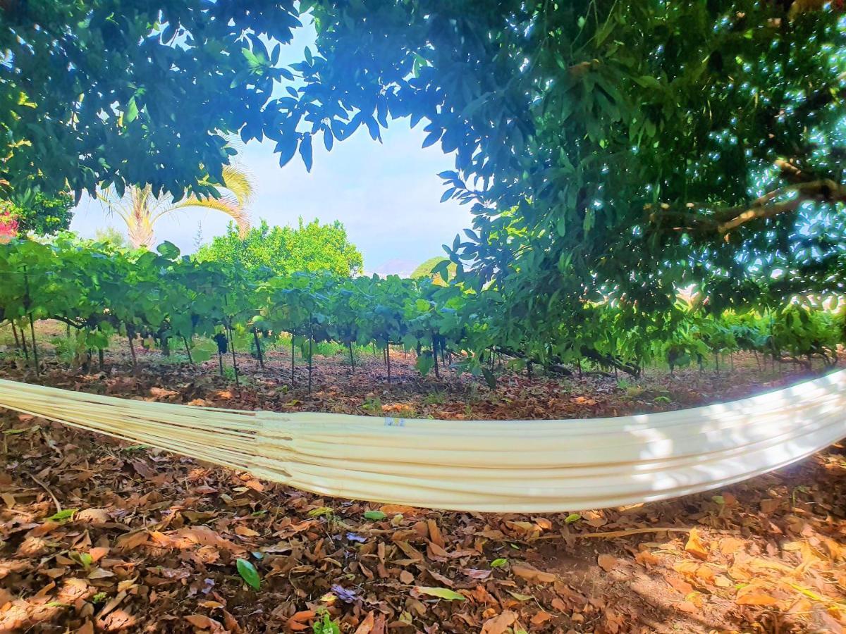 Casa En Finca Ecologica - Wifi La Orotava Dış mekan fotoğraf