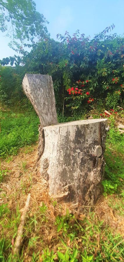 Casa En Finca Ecologica - Wifi La Orotava Dış mekan fotoğraf