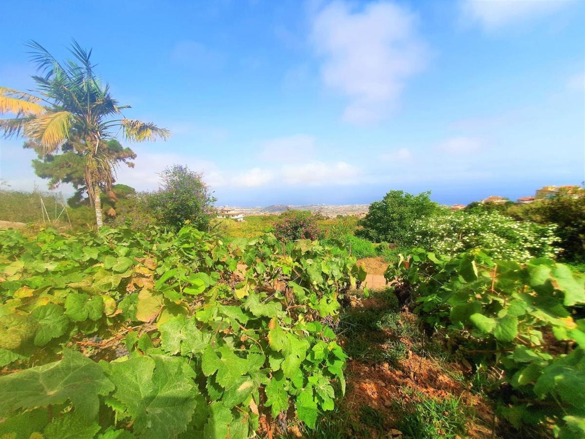 Casa En Finca Ecologica - Wifi La Orotava Dış mekan fotoğraf