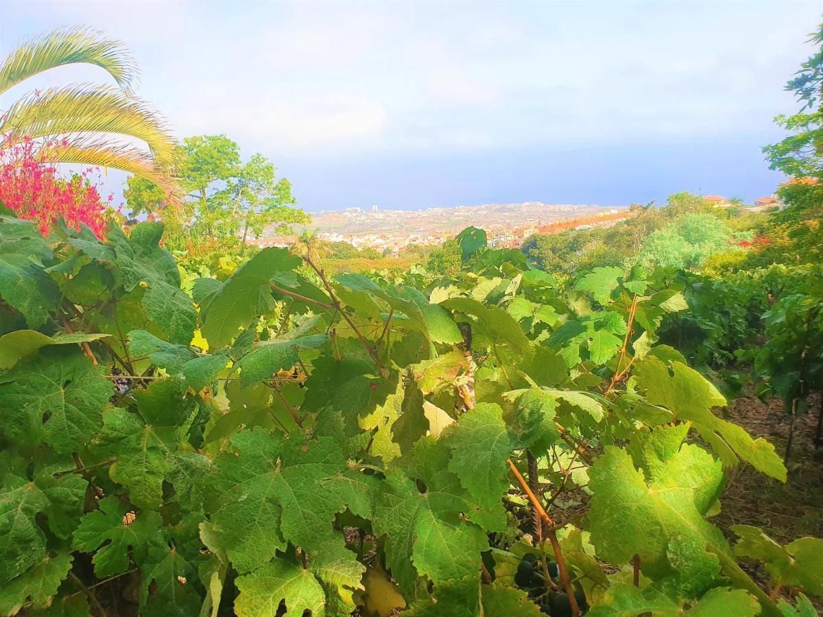 Casa En Finca Ecologica - Wifi La Orotava Dış mekan fotoğraf