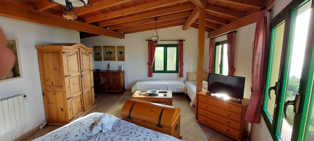 Casa En Finca Ecologica - Wifi La Orotava Dış mekan fotoğraf