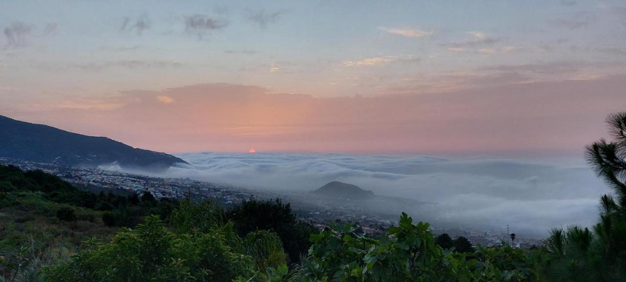 Casa En Finca Ecologica - Wifi La Orotava Dış mekan fotoğraf