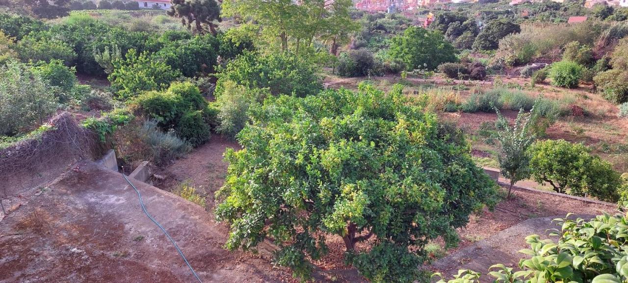 Casa En Finca Ecologica - Wifi La Orotava Dış mekan fotoğraf