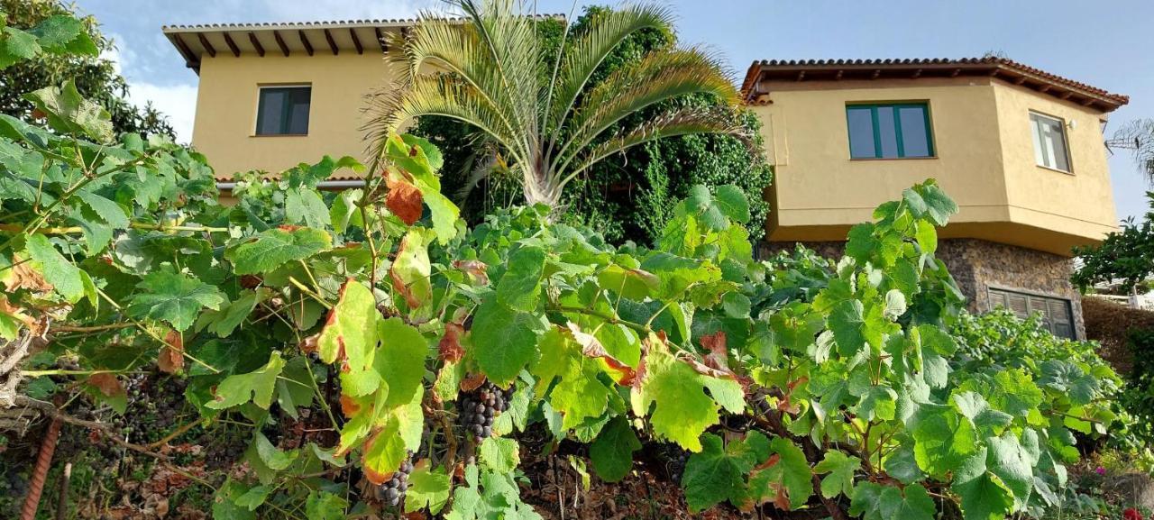 Casa En Finca Ecologica - Wifi La Orotava Dış mekan fotoğraf