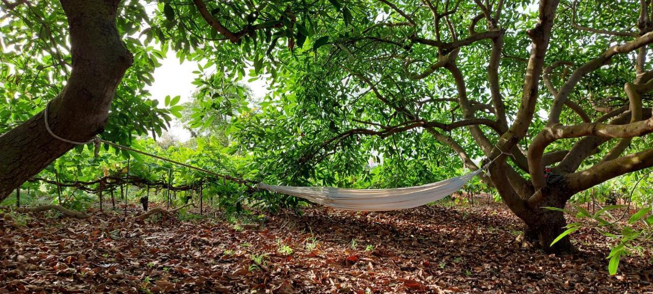 Casa En Finca Ecologica - Wifi La Orotava Dış mekan fotoğraf